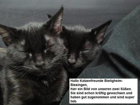 Bild aus dem Vereinsarchiv