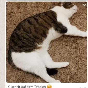 Bild aus dem Vereinsarchiv