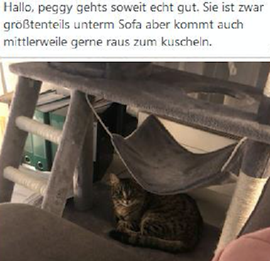 Bild aus dem Vereinsarchiv