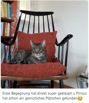 Bild aus dem Vereinsarchiv