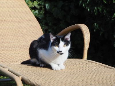 Bild aus dem Vereinsarchiv